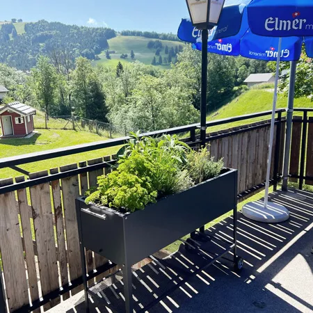 impression-terrasse-1