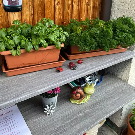 impression-terrasse-2
